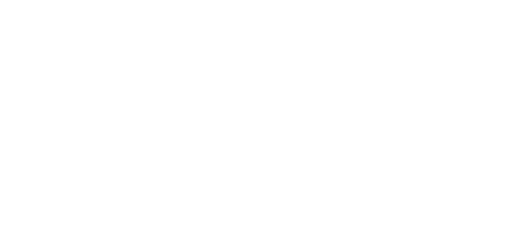 digitalcellars_logo-transpWht